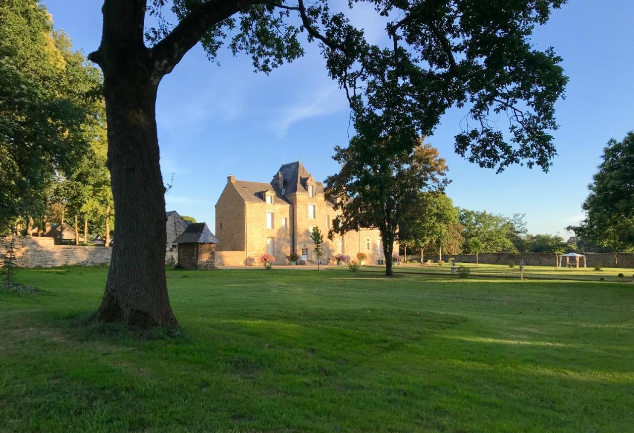 Chateau De Cadouzan Saint-Dolay Eksteriør bilde