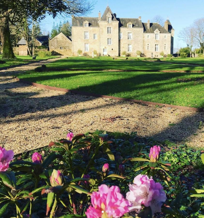 Chateau De Cadouzan Saint-Dolay Eksteriør bilde